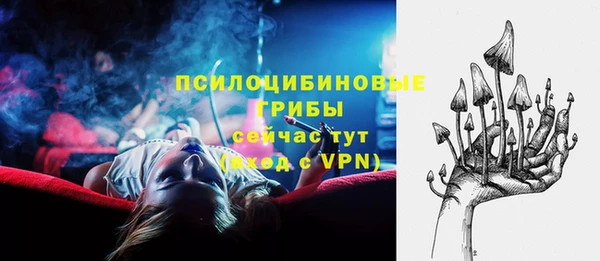 MESCALINE Аркадак
