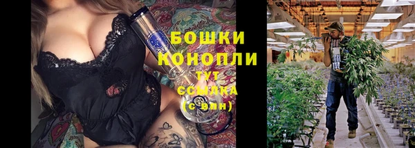 MESCALINE Аркадак