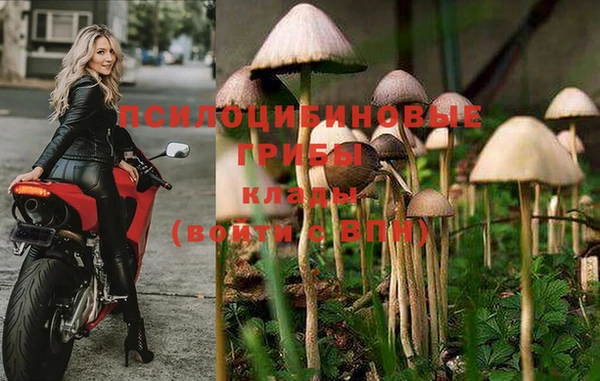 MESCALINE Аркадак